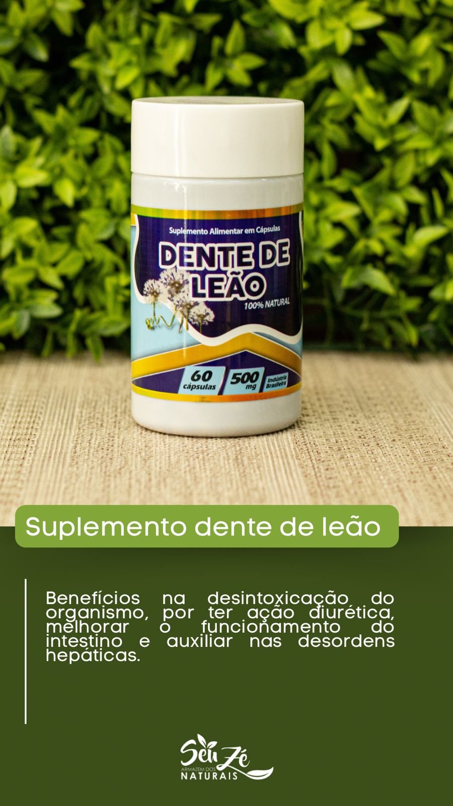 WhatsApp Image 2025-09-05 at 12.07.03 (2)