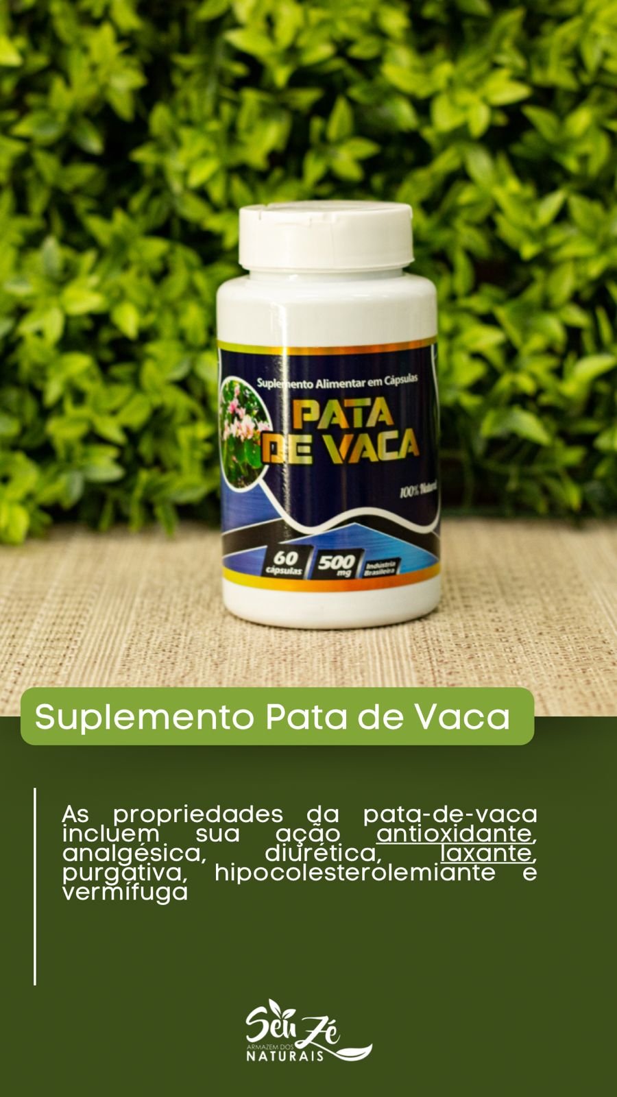 WhatsApp Image 2025-09-05 at 12.07.03 (3)